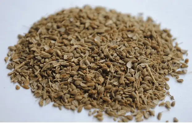 flax seeds1