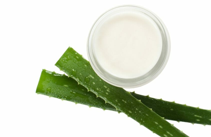 Benefits To Drinking Aloe Vera