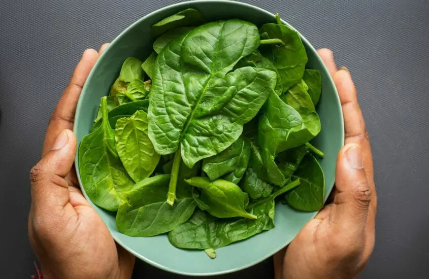 Spinach in a Bowl